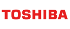 Toshiba Semiconductor and Storage