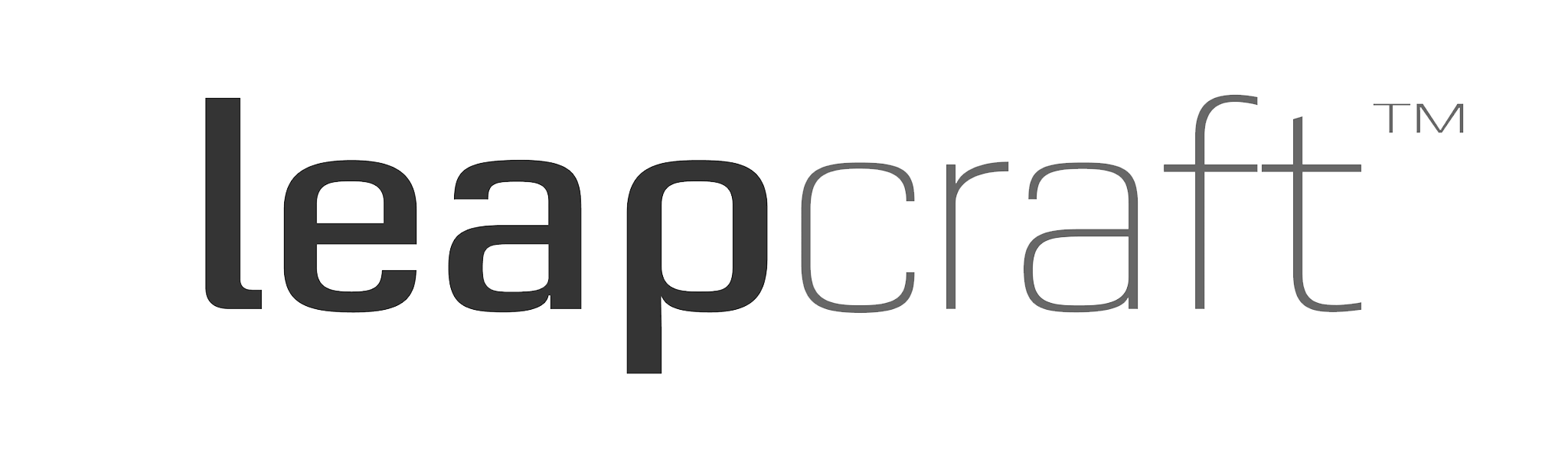 Leapcraft