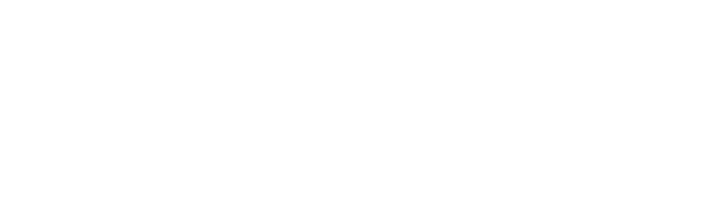 HT Micron
