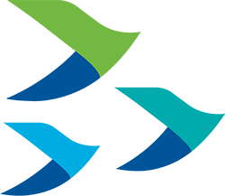 HY Electronic (Cayman) Limited